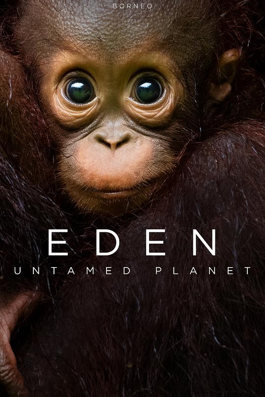伊甸园:最后的秘境 Eden: Untamed Planet