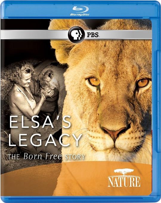 艾尔莎的遗产:生而自由的故事 Elsa's Legacy: The Born Free Story