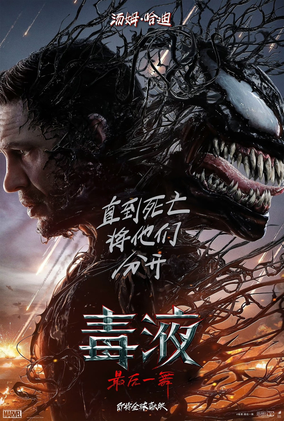 毒液:最后一舞 Venom: The Last Dance